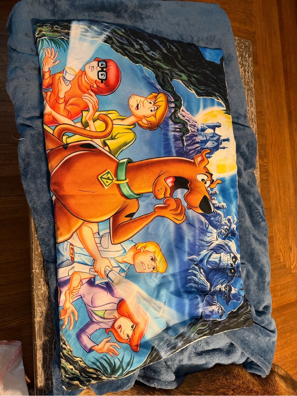 Scooby-Doo Standard Pillowcase With Seamless Zip Closure